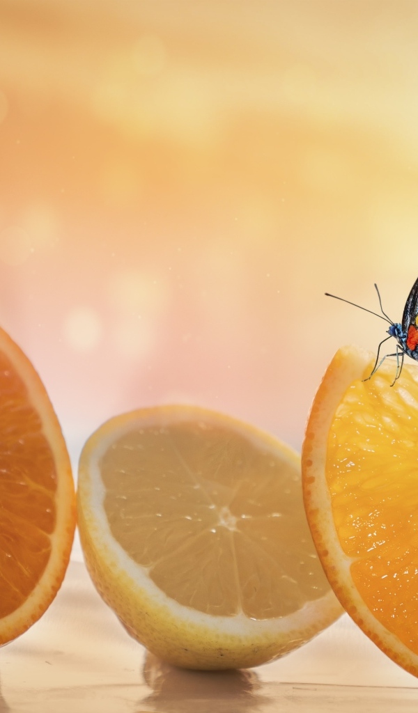 Большие оранжевые апельсины и лимон с бабочкой