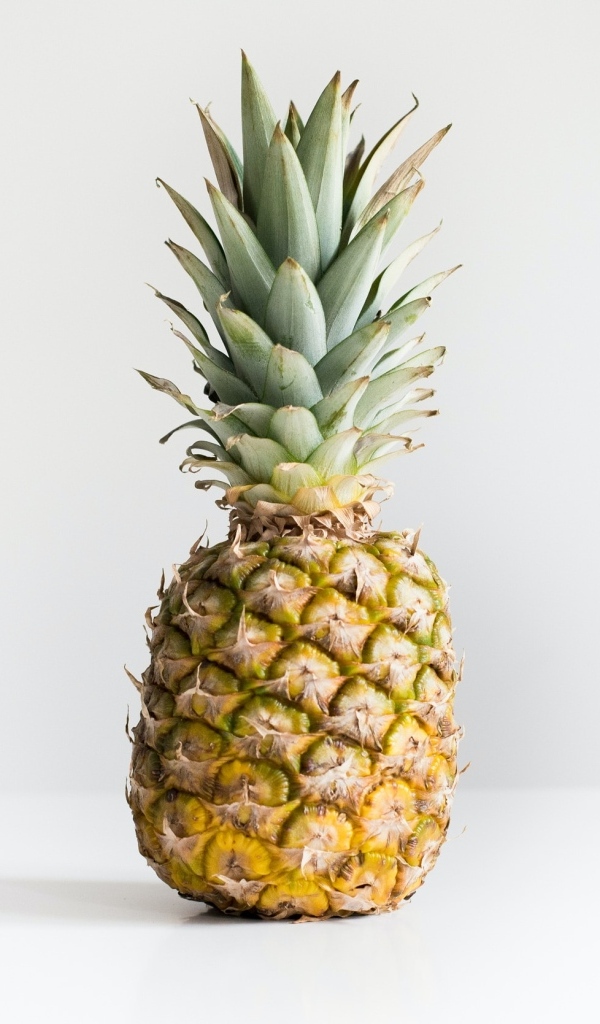 Большой ананас на сером фоне