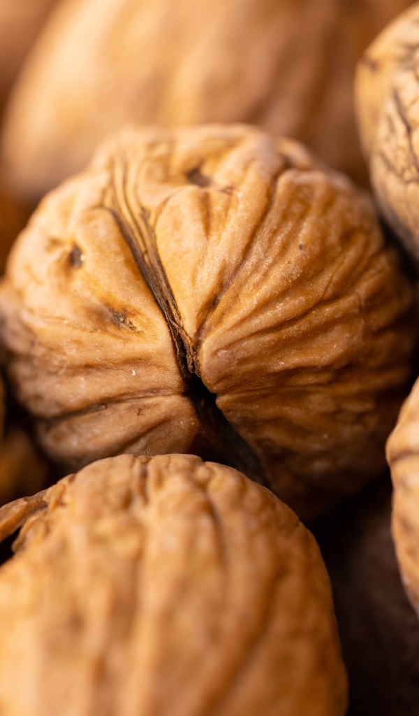 Крупные грецкие орехи