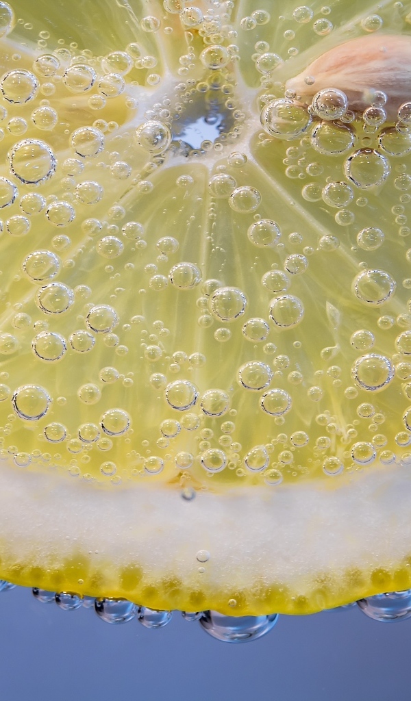 Кружок лимона в каплях воды на голубом фоне