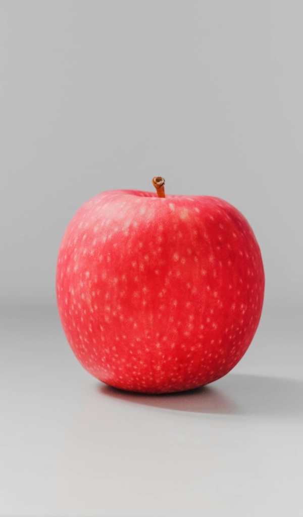 Одно красное яблоко на сером фоне
