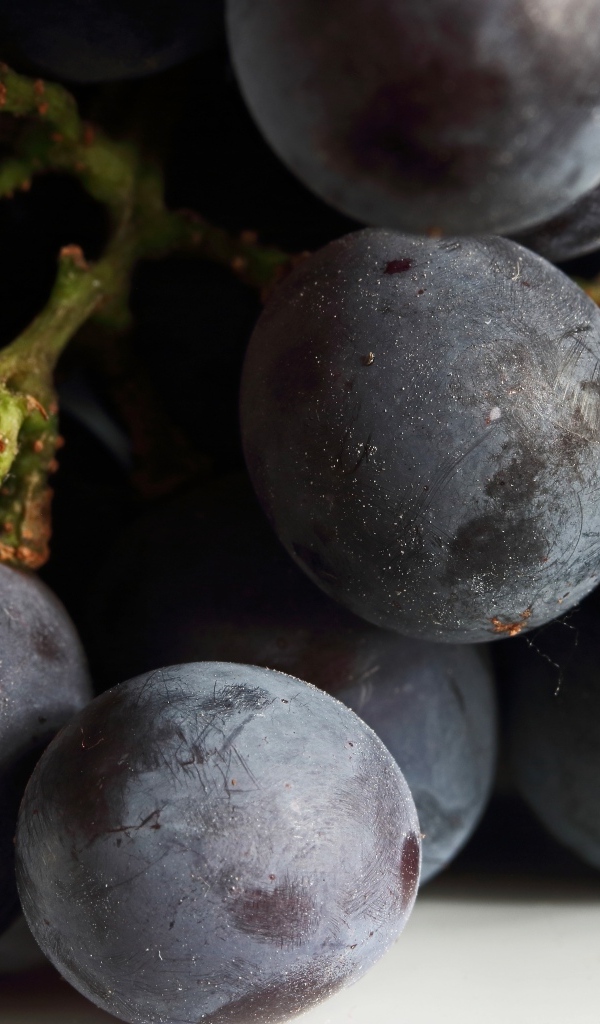 Розовый круглый виноград крупным планом