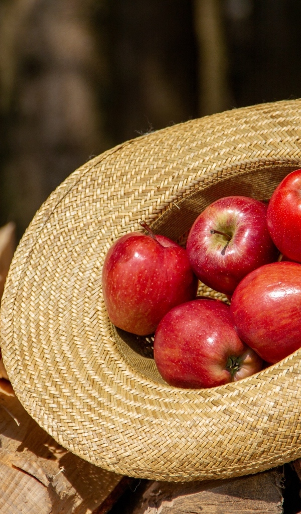 Красные яблоки лежат в соломенной шляпе 