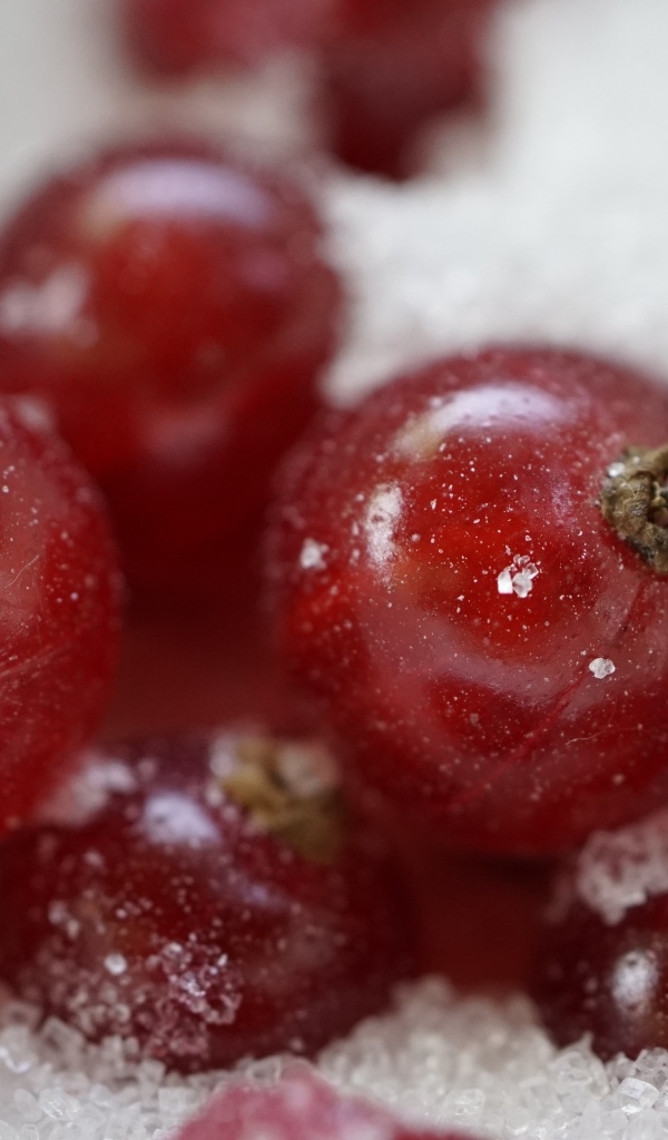 Красные ягоды смородины в сахаре