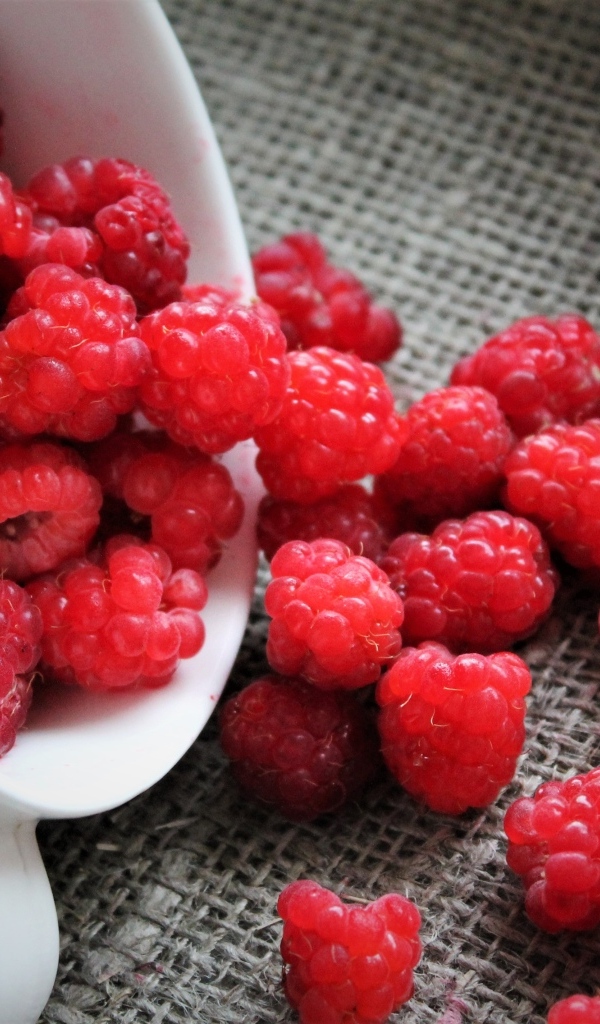 Красная спелая малина в чашке на столе