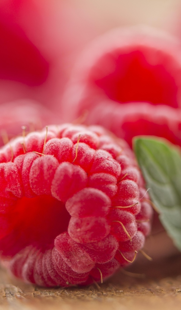 Ягода спелой красной малины крупным планом