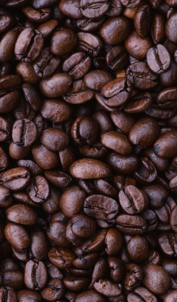 Жареные ароматные кофейные зерна