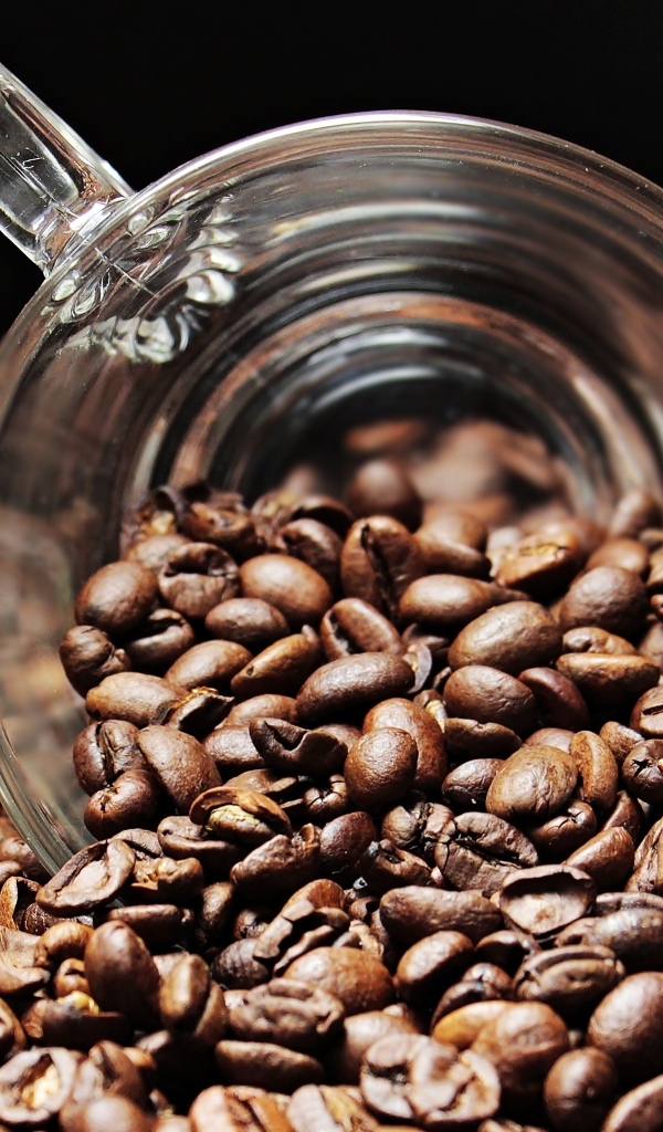 Жареные зерна кофе со стеклянной чашкой