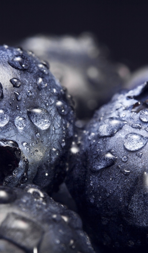 Круглые ягоды черники в каплях воды