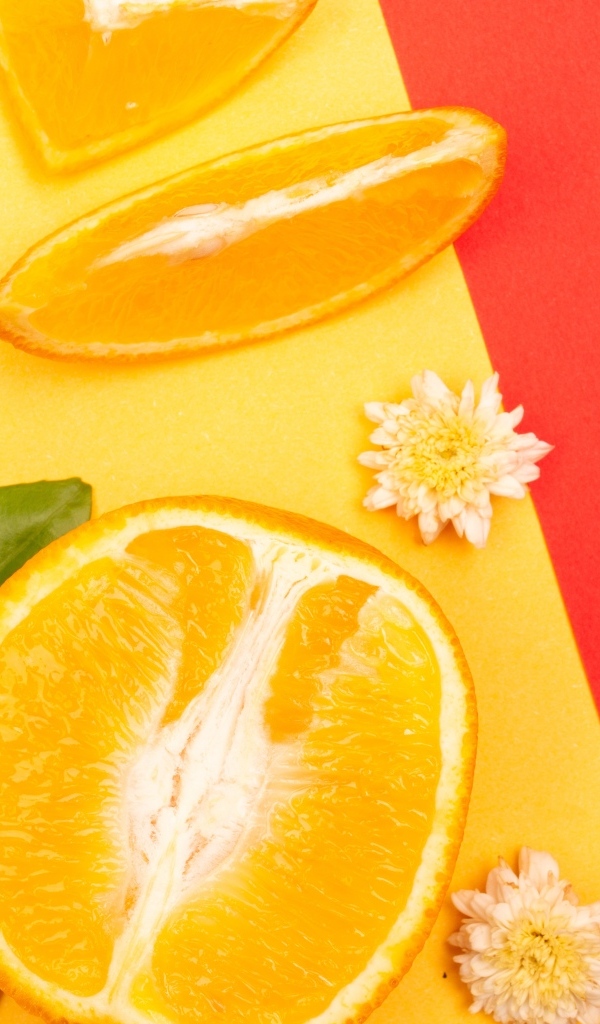 Кусочки апельсина и лайма на разноцветной поверхности 