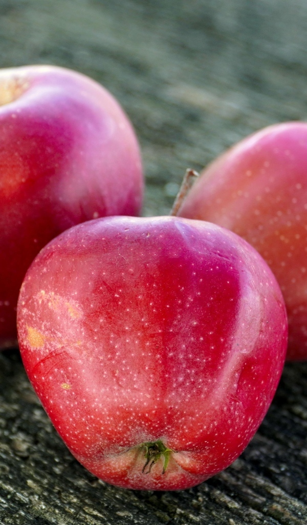 Три больших спелых красных яблока