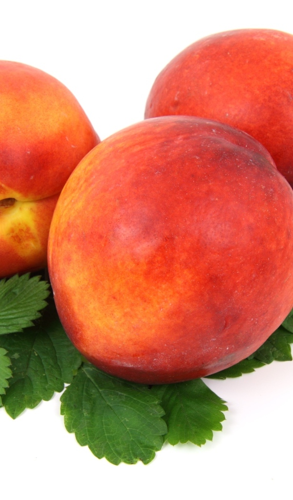 Три спелых персика с листьями на белом фоне