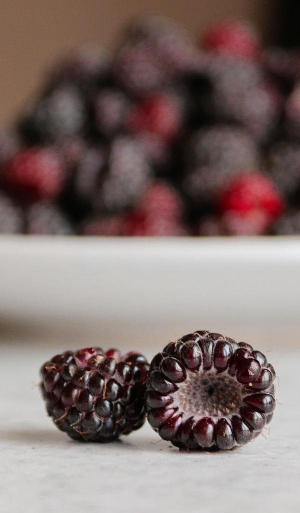 Две ягоды ежевики крупным планом