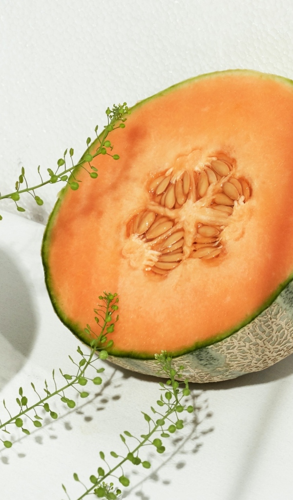 Две половины дыни с травой на белом диване