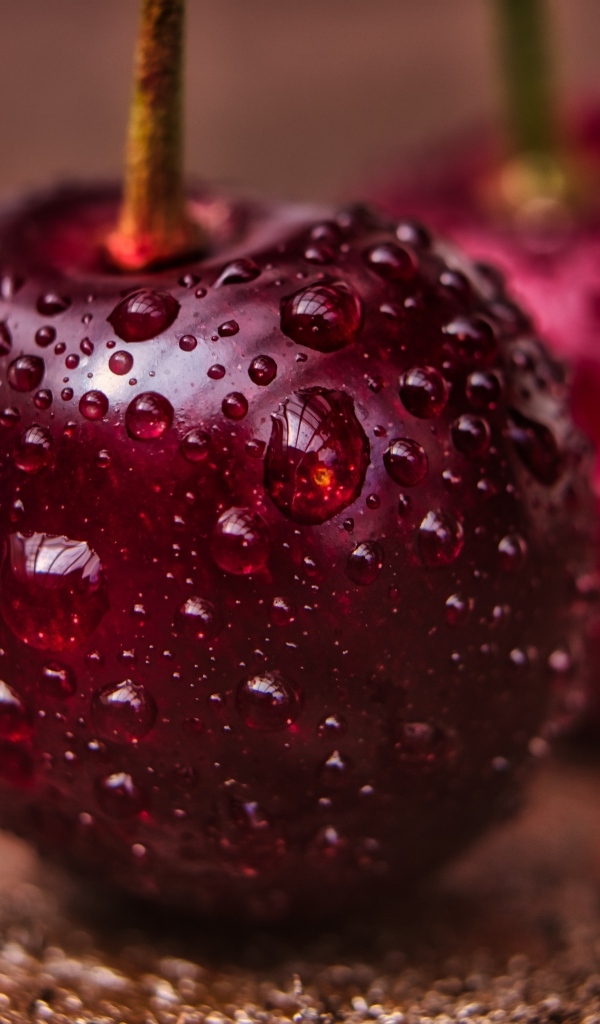 Две красные ягоды черешни в каплях воды