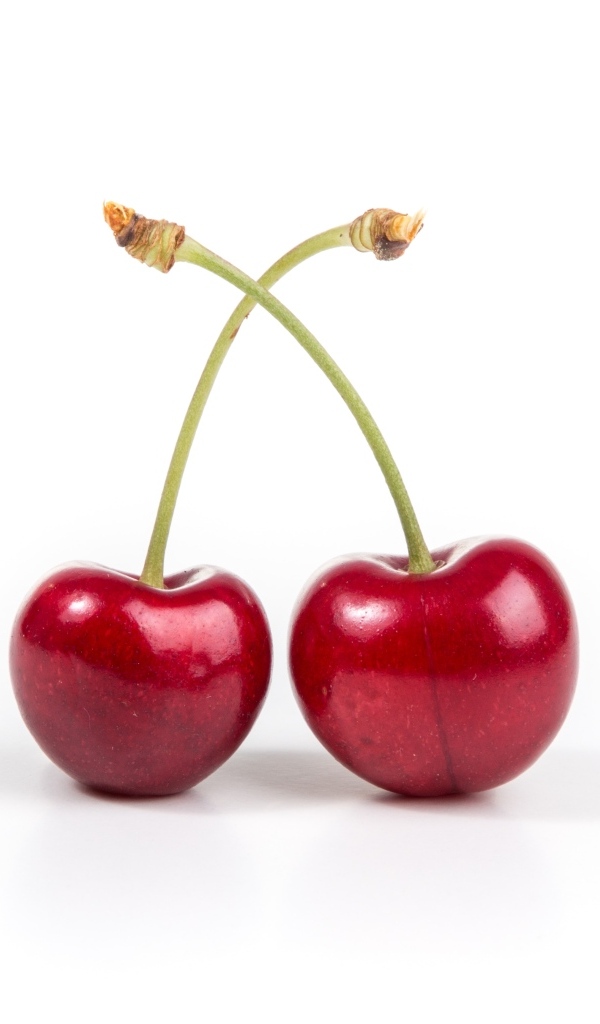 Две красные черешни на белом фоне