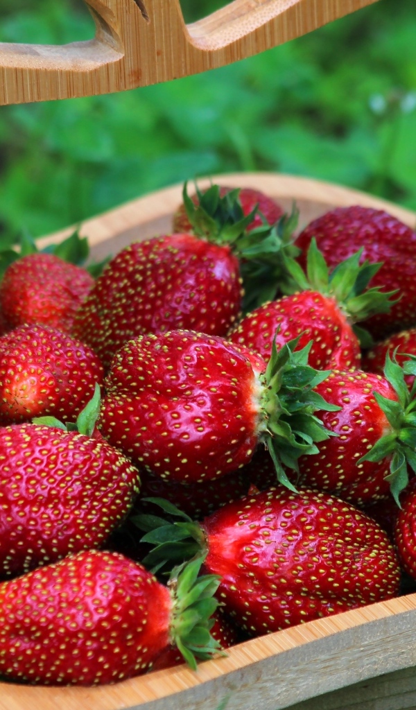 Деревянная корзина вкусной сладкой спелой клубники