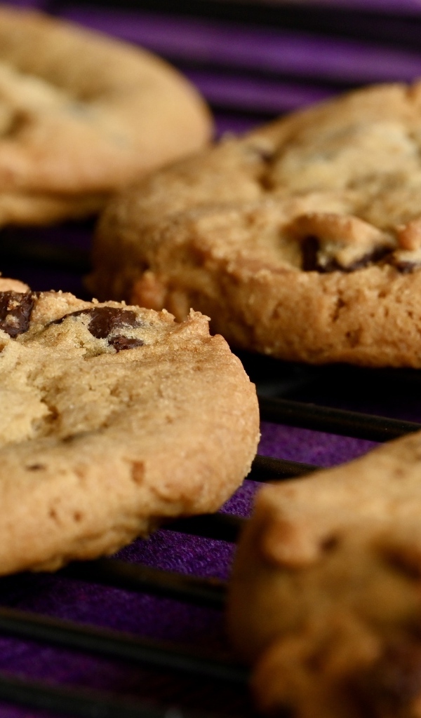 Аппетитное круглое печенье с шоколадной крошкой