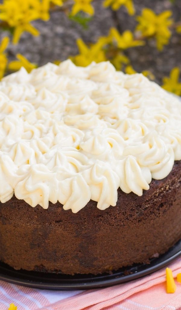 Шоколадный торт с белым кремом