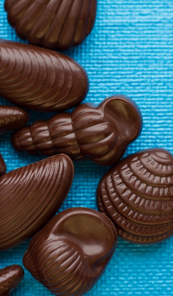 Шоколадные конфеты в форме ракушек на голубом фоне