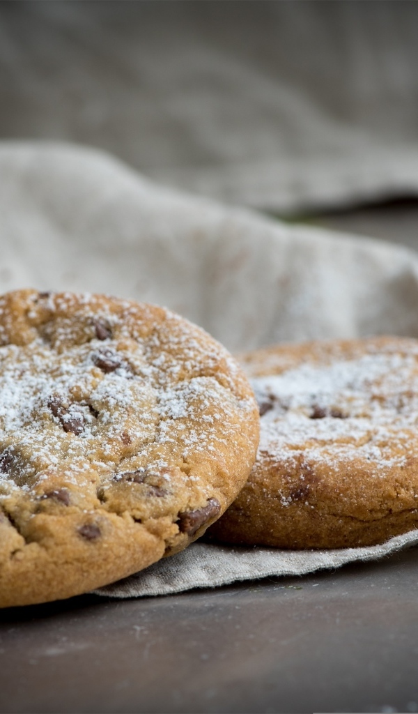 Печенье с шоколадной крошкой посыпано сахарной пудрой