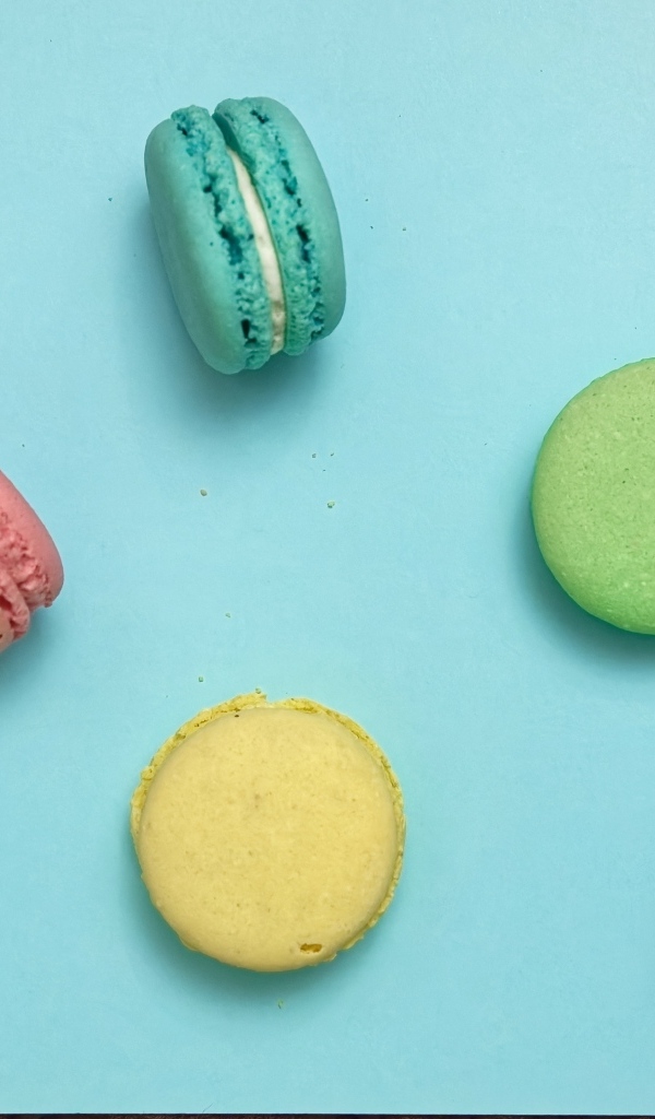 Разноцветный десерт макарон на голубом фоне