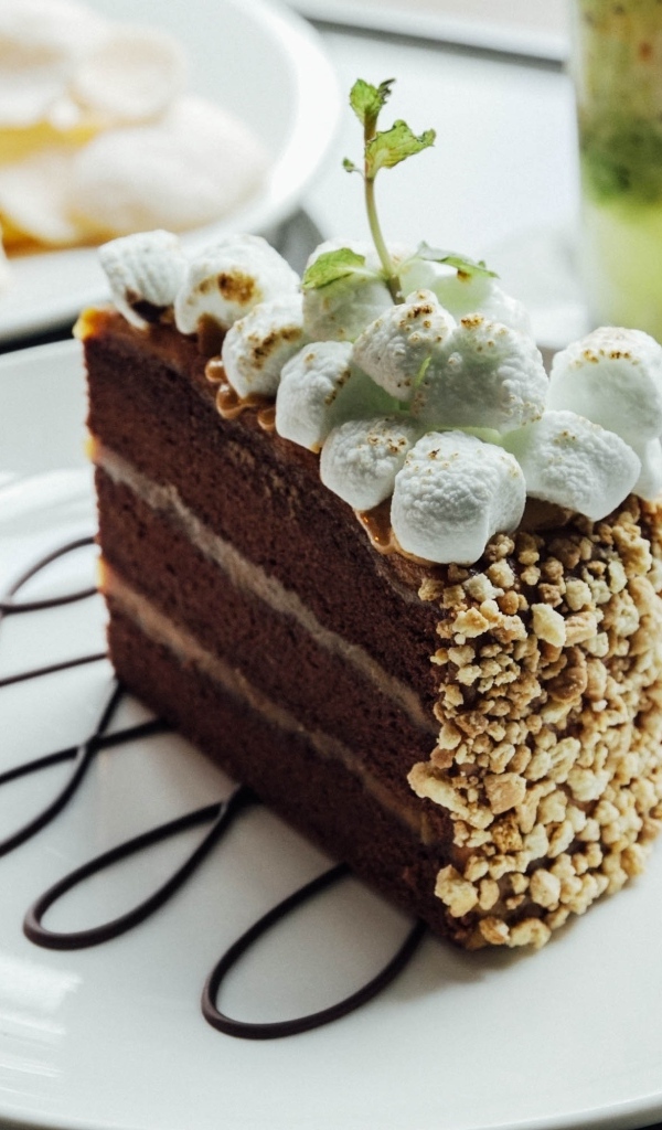 Кусок шоколадного торта с маршмеллоу на белой  тарелке