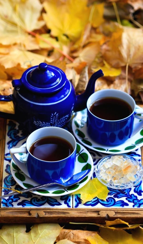 Две чашки кофе с чайником стоят на опавшей листве