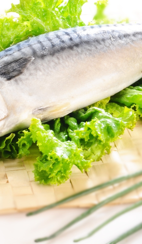 Крупная скумбрия с листьями салата