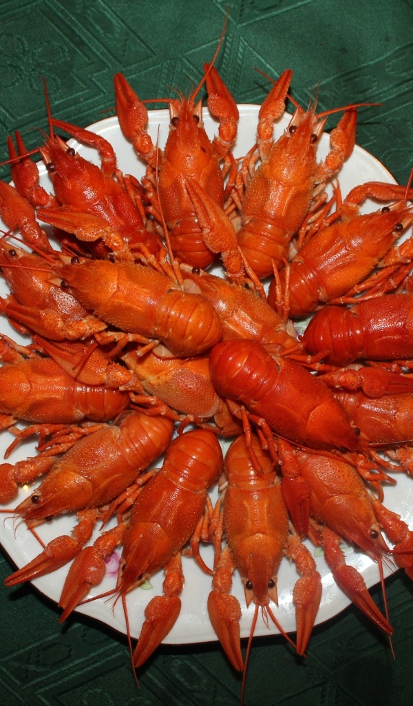 Красные вареные раки на белой тарелке