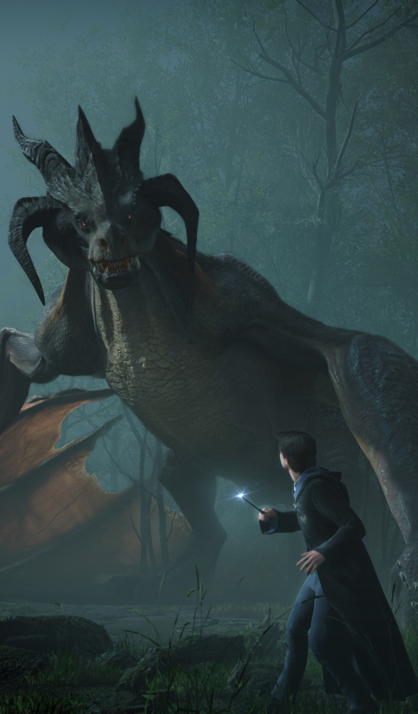 Кадр компьютерной игры Hogwarts Legacy