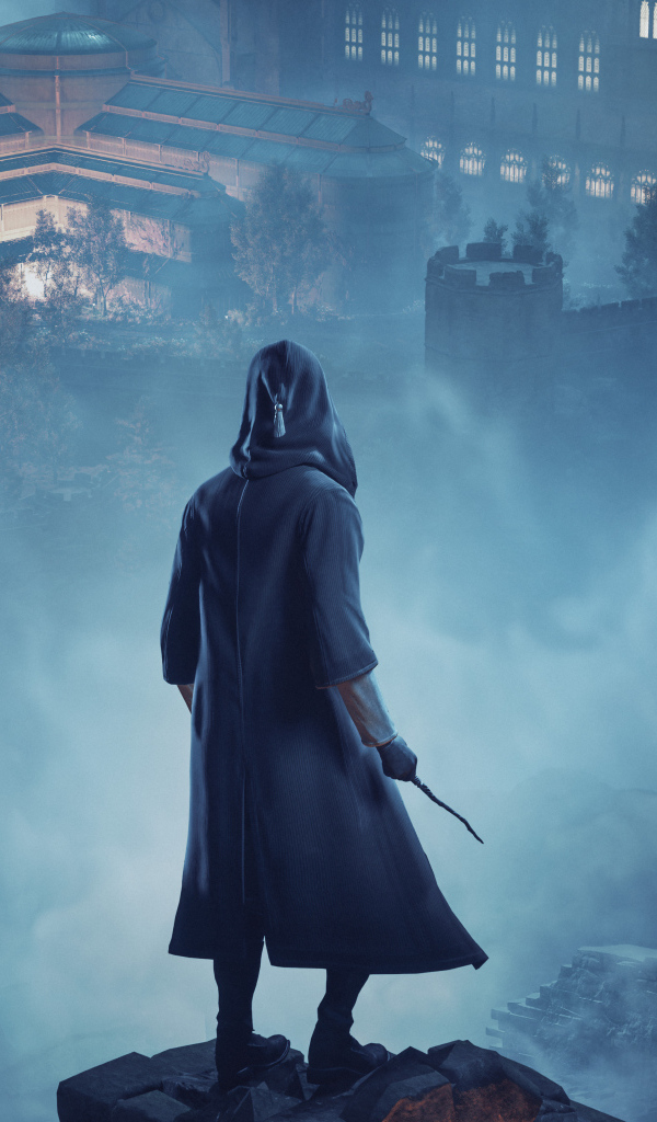 Волшебник из компьютерной игры Hogwarts Legacy