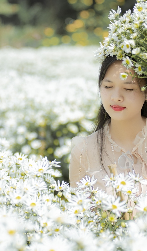 Красивая девушка азиатка на поле с белыми цветами хризантемы