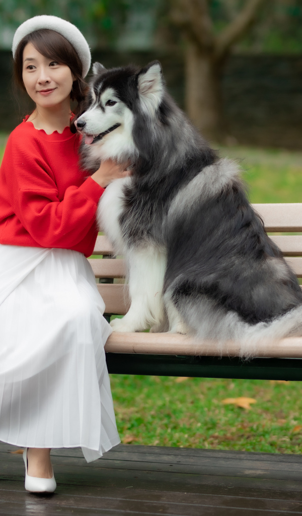 Красивая девушка азиатка сидит с собакой на лавке