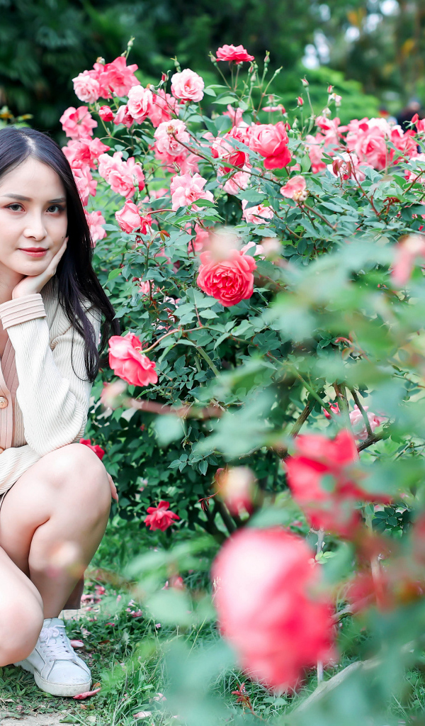 Красивая девушка сидит у куста роз