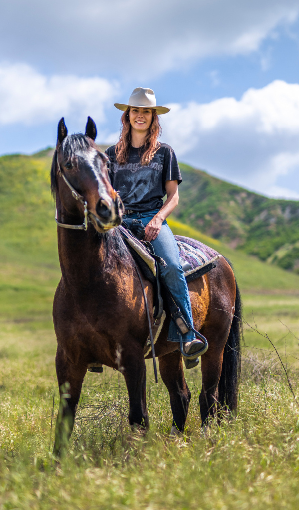Красивая девушка сидит на большой лошади