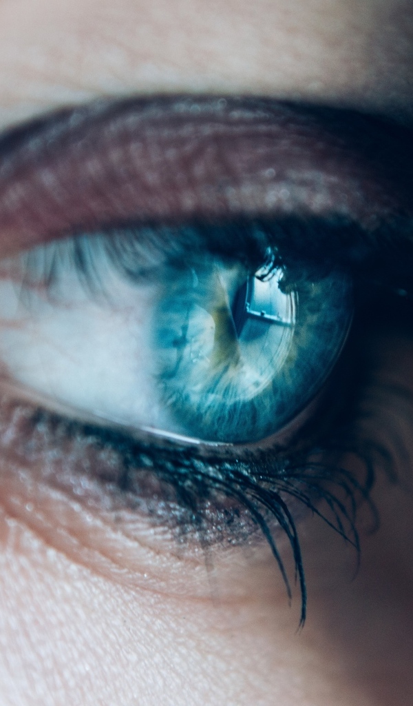 Глаз девушки голубого цвета вблизи