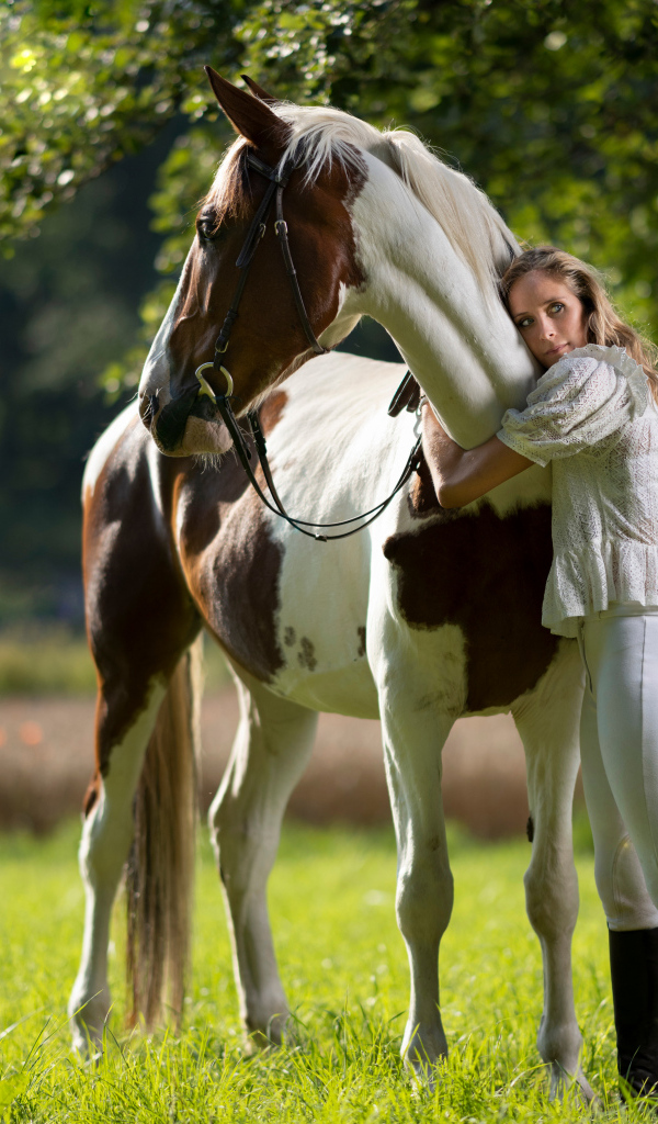 Молодая девушка обнимает большого коня