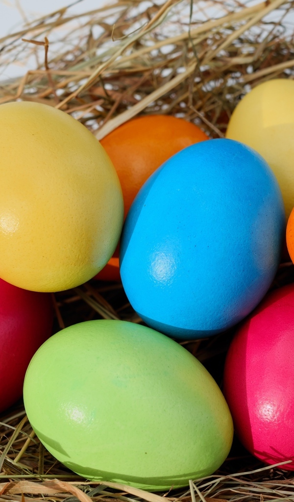 Много разноцветных пасхальных яиц в гнезде