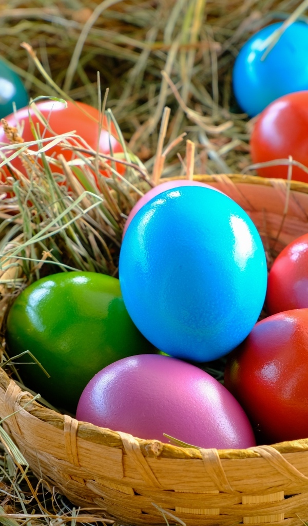 Разноцветные пасхальные яйца в корзине на сене