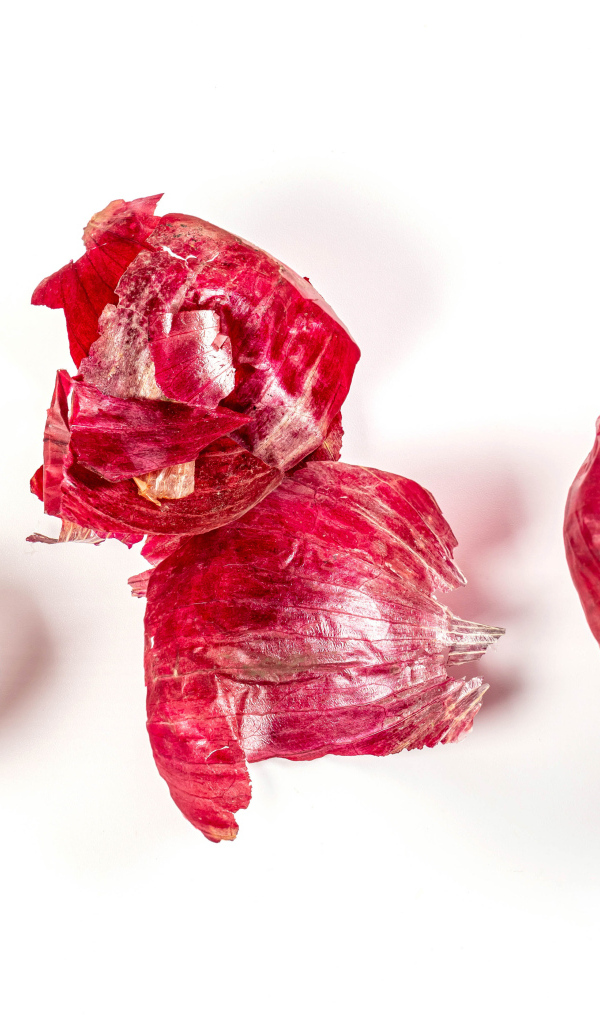 Окрашенные яйца с луком на белом фоне