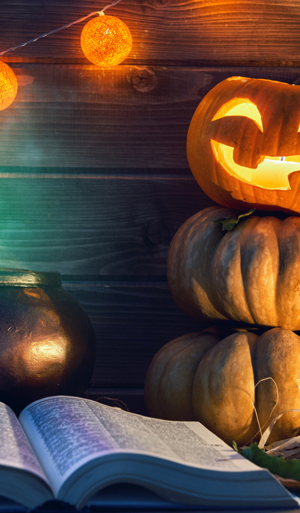 Тыквы и книга на Хэллоуин