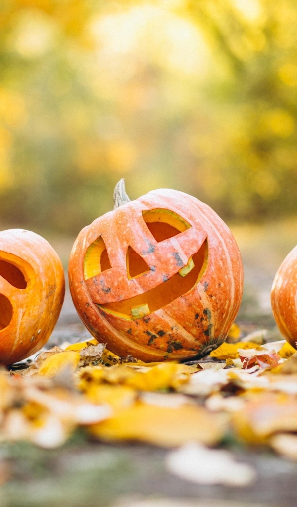 Три тыквы для Хэллоуина на земле