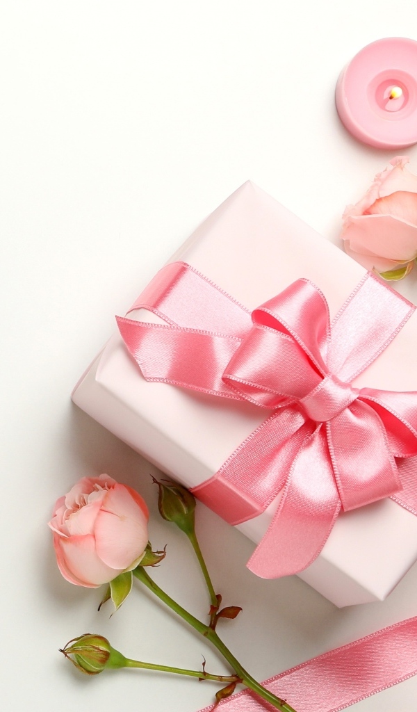 Розовые розы с подарком на белом фоне,  шаблон для открытки на 8 марта