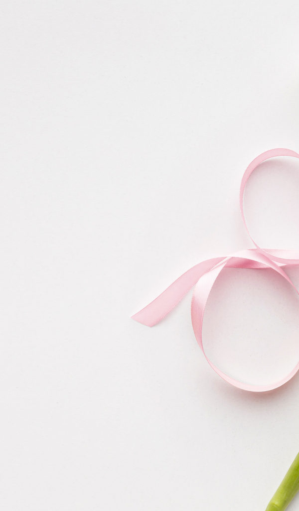 Тюльпан для любимой на 8 марта на розовом фоне