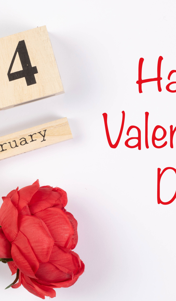 Красивая открытка с розой на белом фоне на День влюбленных