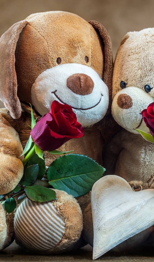 Две плюшевых игрушки с розами в подарок на День Святого Валентина