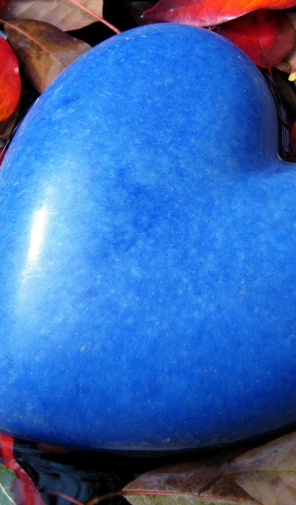 Большое голубое сердце лежит на листве