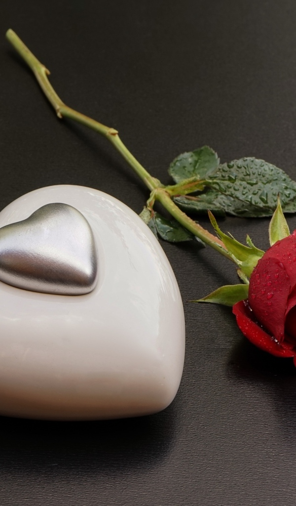 Большое белое сердце с красной розой