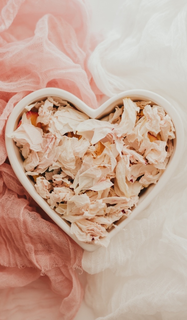 Коробка в форме сердце с сухими лепестками